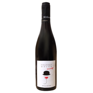 🇫🇷 Domaine Huchet - Chapeau Melon - Loire / Rouge